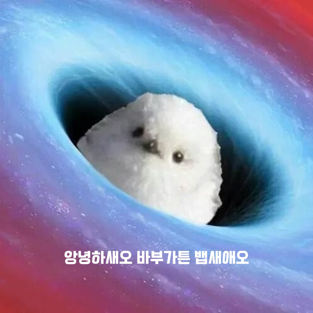 바부가틍 뱁새의 한마디