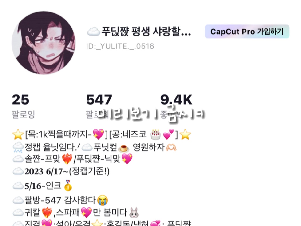 🐶씹관종 율닛짡의 일생ㅋ