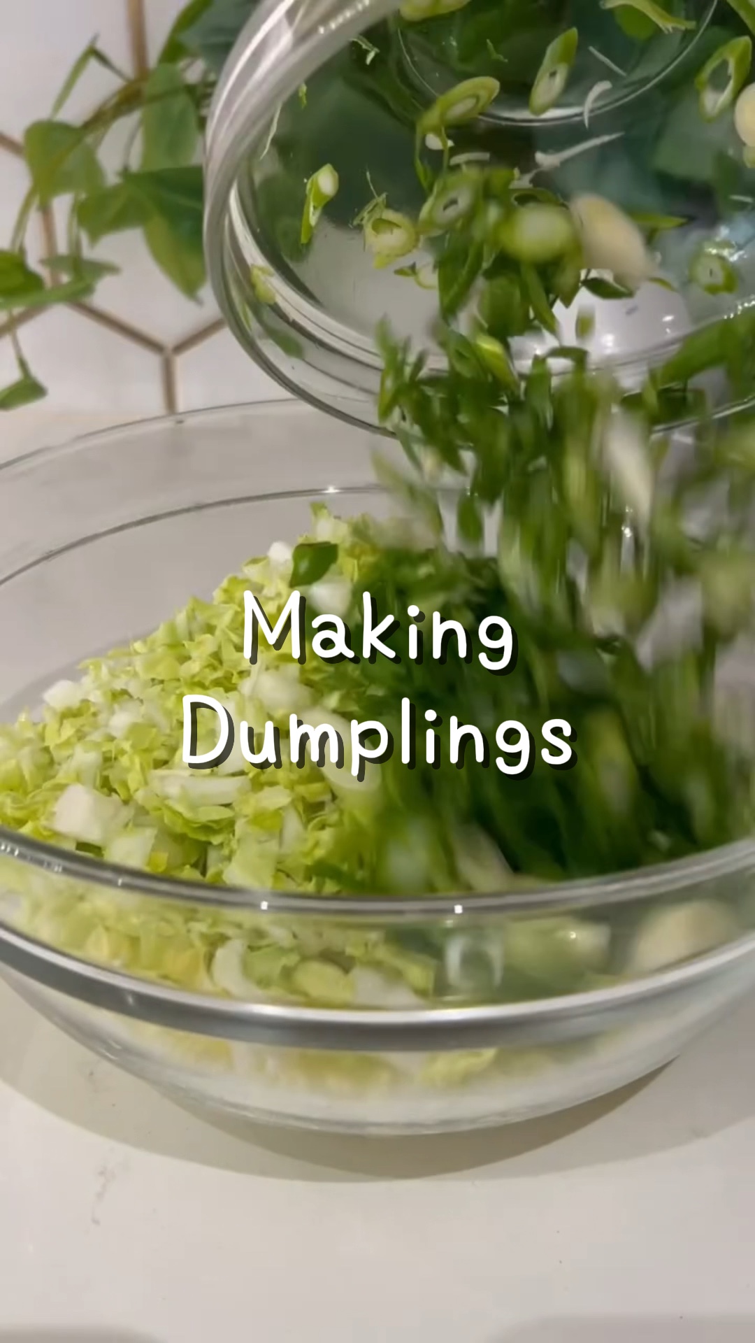 Cooking vlog
