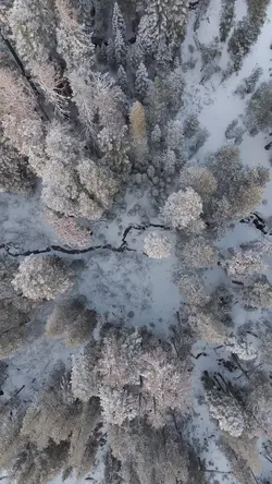 All time low 🎬❄️