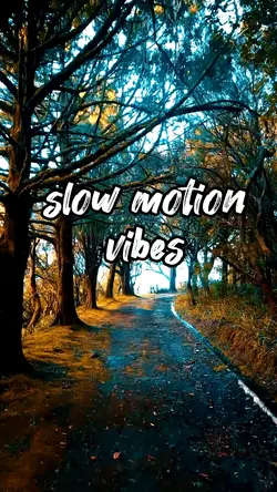 slow smooth vibes