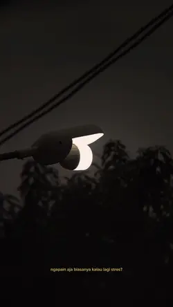 ngerokok,kopi,ngayal