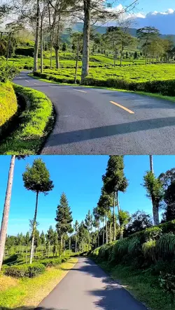 2 video collage HD