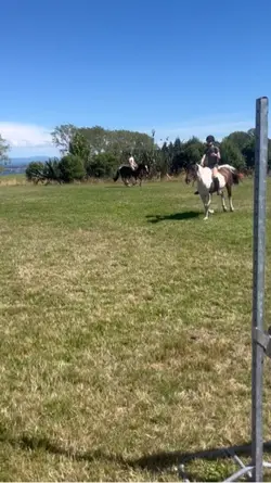 All that you want ☀️