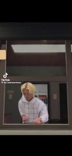 Shawarma Straykids