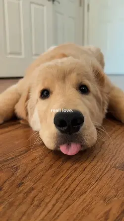 reall love