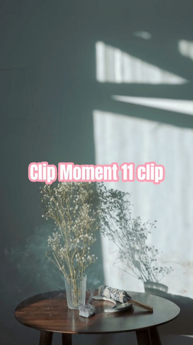 Clip Moment 11 Clip