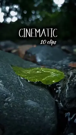 CINEMATIC HD 10Clips