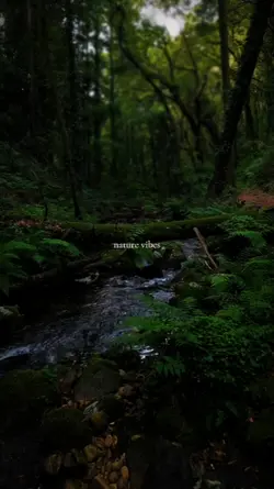 nature vibes