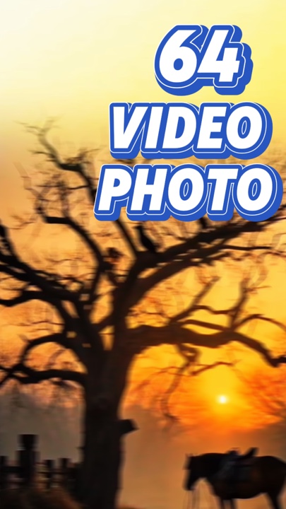 64 Video oder Foto 