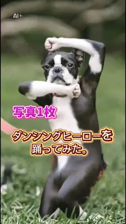 ダンシングヒーロー／ムーブpro