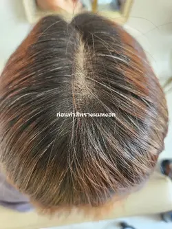 ตัดผมบ๊อบทุย