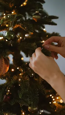 Christmas is coming 