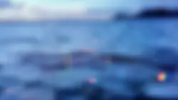 Ocean海