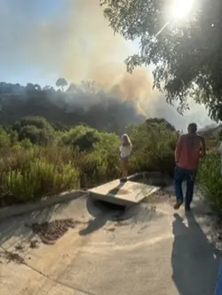 forensic psychologis