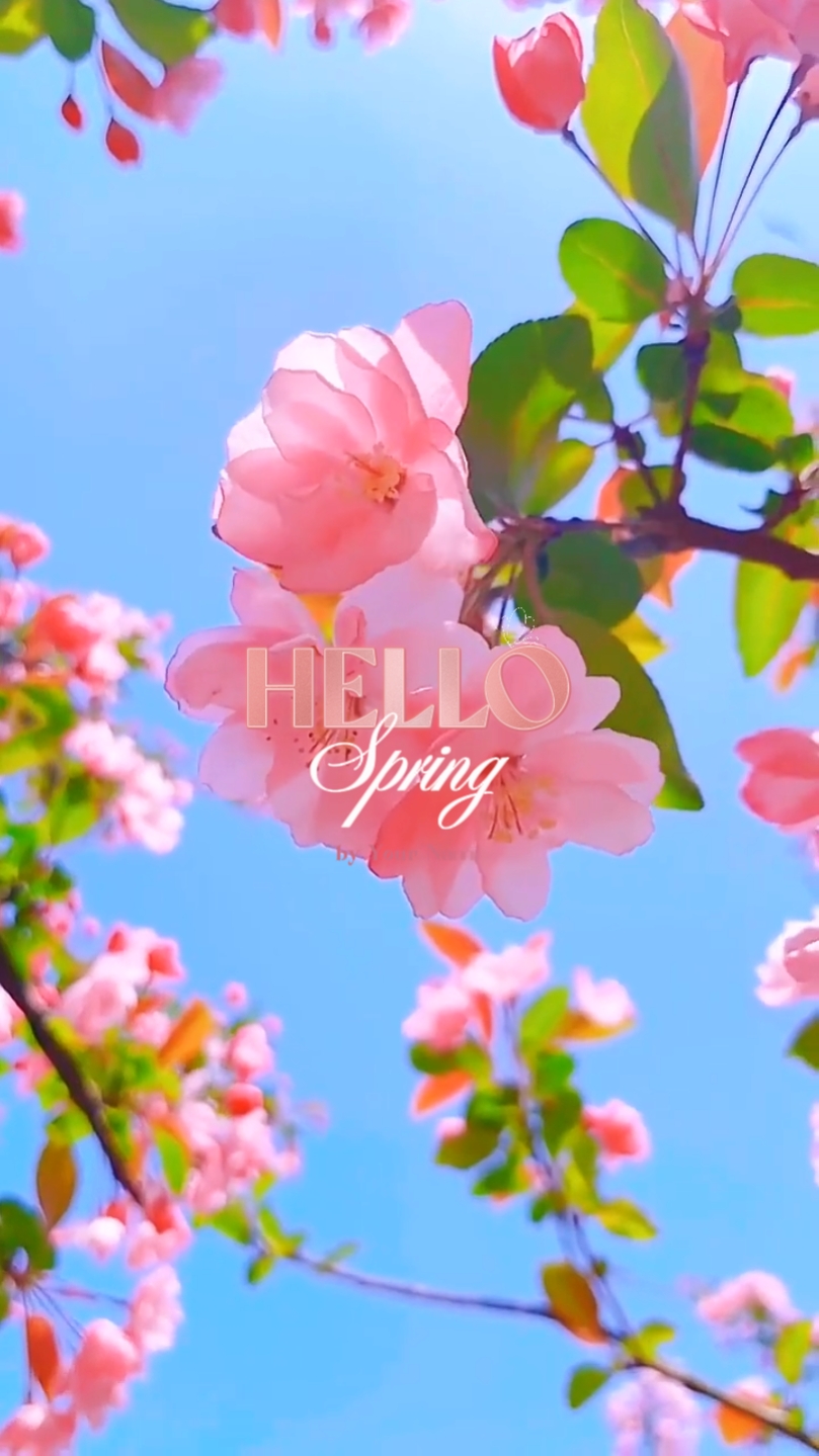 Hello Spring
