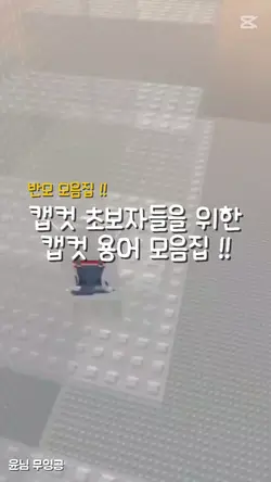 # 2 | 캡컷 용어 설명 [반모]