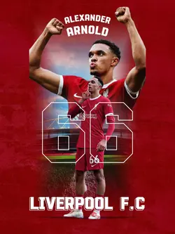 DESIGN BOLA 