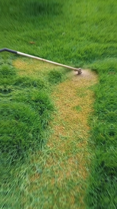 Gardening