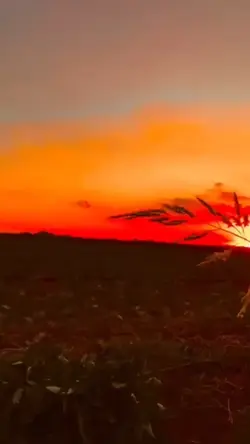 şablonu nasıl buldun