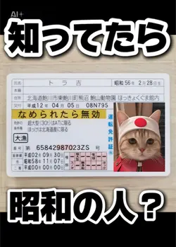なめ猫