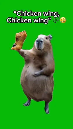 Chicken Wing Song 