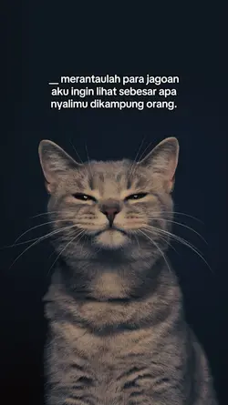 mana kalian