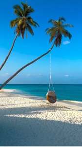Travel Summer 