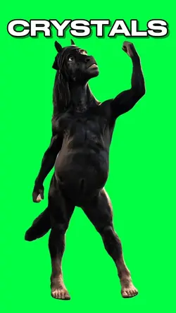RANDY MUSTANG DANCE