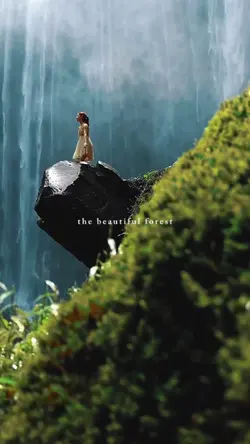 the beautiful forest