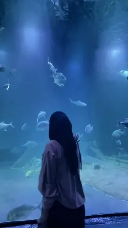 berlarilah kemanapun