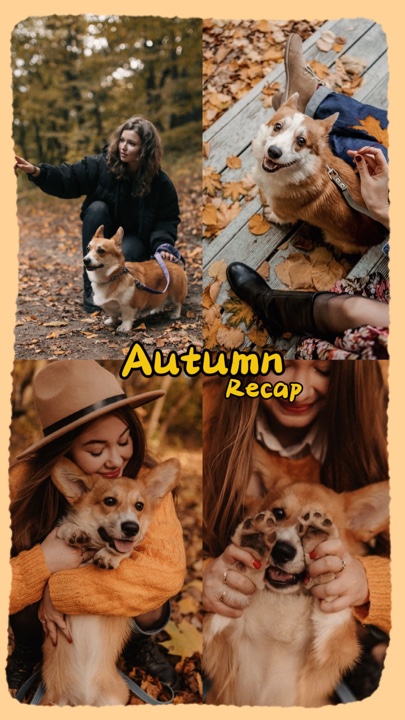 Autumn recap