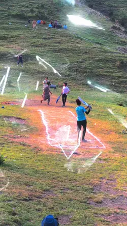 Cricket