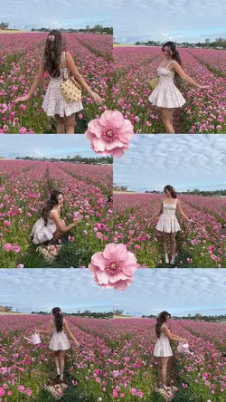 6 pics aesthetic
