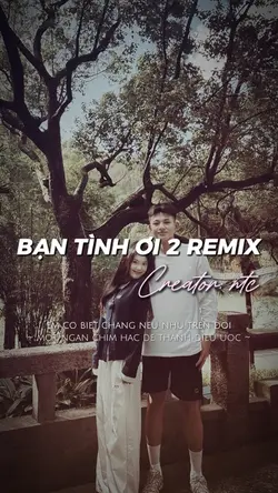 Bạn Tình Ơi 2 Remix