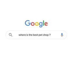 Search Google