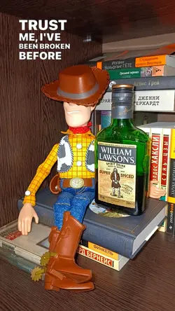 toy story 2