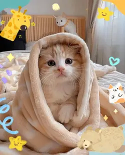 cute cat 