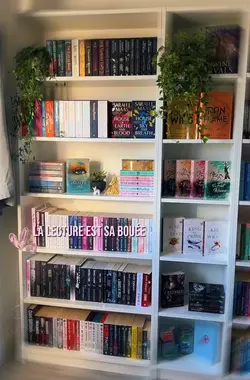 la lecture alv alm