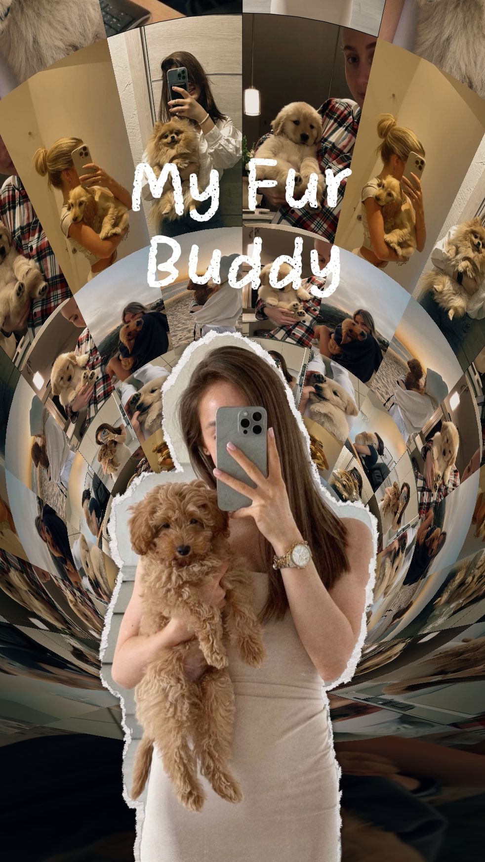 My Fur Buddy