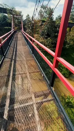 🌱