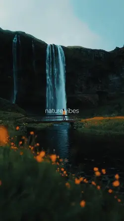 nature vibes