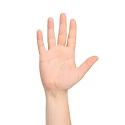 SPYDERSAMMY HEAD PAT