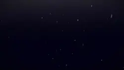 Fireflies