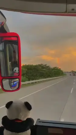 STORI DRIVER 