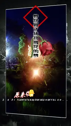 野花做了场玫瑰花的梦