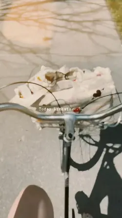 Today Minivlog 4 vid