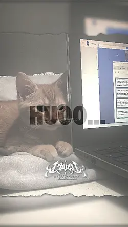 NO MIRROR KECE ABIZZ