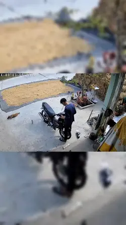 kiên nhẫn và đam mê