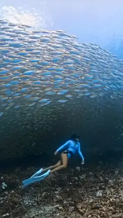 snorkeling